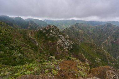 Tenerife 'deki Anaga' nın dik dağlarının manzarası, Laurisilva ormanları ve bitkilerle kaplıdır.