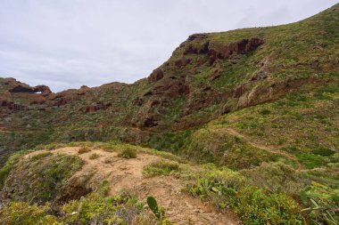 Tenerife 'deki Anaga' nın dik dağlarının manzarası, Laurisilva ormanları ve bitkilerle kaplıdır.