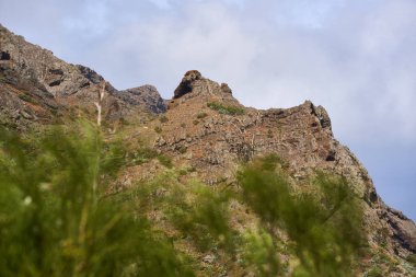 Tenerife 'nin Teno Dağları' ndaki kuru volkanik yamaçlar, agave bitkileri ve katmanlı kaya dokuları.