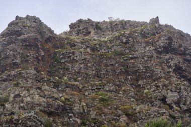 Tenerife 'nin Teno Dağları' ndaki kuru volkanik yamaçlar, agave bitkileri ve katmanlı kaya dokuları.