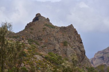 Tenerife 'nin Teno Dağları' ndaki kuru volkanik yamaçlar, agave bitkileri ve katmanlı kaya dokuları.