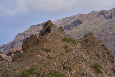 Tenerife 'nin Teno Dağları' ndaki kuru volkanik yamaçlar, agave bitkileri ve katmanlı kaya dokuları.