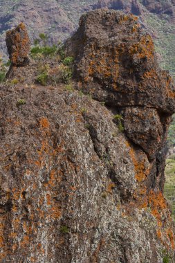 Tenerife 'nin Teno Dağları' ndaki kuru volkanik yamaçlar, agave bitkileri ve katmanlı kaya dokuları.