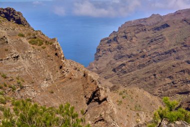 Atlantik kıyısındaki Teno dağlarındaki kahverengi kayalık yamaçların ve bitkilerin geniş manzarası