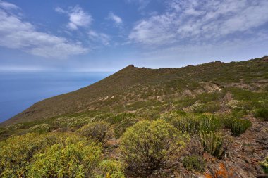 Terk edilmiş tarım terasları Tenerife 'de okyanusun yukarısındaki kuru bir yamaçta kayboluyor.