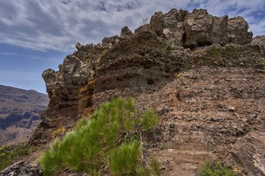 Keskin dağ sırtları ve dik volkanik kayalıklar Tenerife 'nin engebeli Teno manzarasında