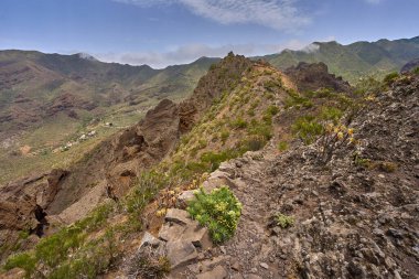 Teno 'daki dar dağ yolu uzak kırsal bir köye ve yeşil teraslı tepelere doğru iniyor.