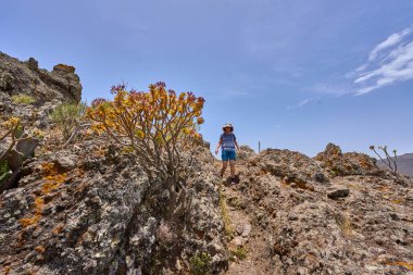 Tenerife adasındaki Teno dağları boyunca dik volkanik yoldan inen kadın.