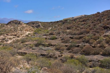Los Derriscaderos Tenerife 'deki engebeli volkanik arazide kıvrılan kuru kanyon yolu.