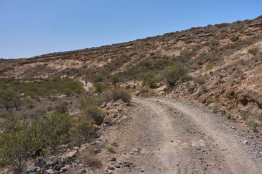 Los Derriscaderos Tenerife 'deki engebeli volkanik arazide kıvrılan kuru kanyon yolu.