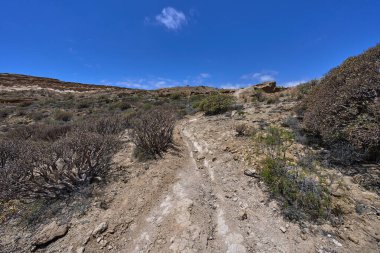 Los Derriscaderos Tenerife 'deki engebeli volkanik arazide kıvrılan kuru kanyon yolu.