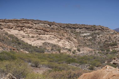 Los Derriscaderos Tenerife 'deki tortulu kayalıklar ve kurak bitki örtüsü