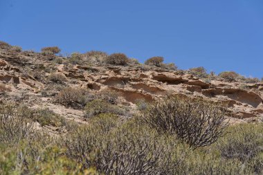 Engebeli volkanik tuff vadileri Los Derriscaderos 'ta dramatik bir volkanik manzara oluşturur.