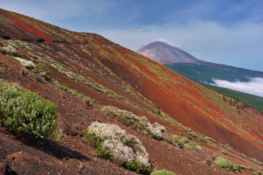 Renkli volkanik yamaçlar ve Pico del Teide 'ye uzanan engebeli arazi parçalı bulutlu bir gökyüzünün altında.