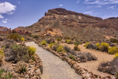 Volkanik patika kuru çalılıklarda kıvrılıyor Alto de Guajara arka planda yükselen berrak bir gökyüzünün altında 