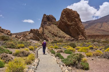 Roques de Garcia yakınlarındaki volkanik bir patikada Pico del Teide arka planda güneşli bir gökyüzünün altında yürüyen kadın yürüyüşçü.