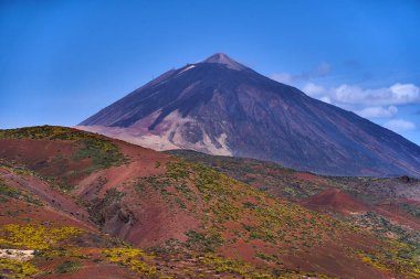 Pico del Teide stratovolcano kuru volkanik arazi ve açık bir gökyüzü altında sarı çiçekli bitkiler