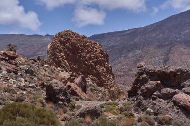 Roques de Garcia boyunca uzanan kaya oluşumları ve kuru volkanik bitki örtüsü. Teide volkanik yamaçları arka planda mavi bir yaz gökyüzünün altında.