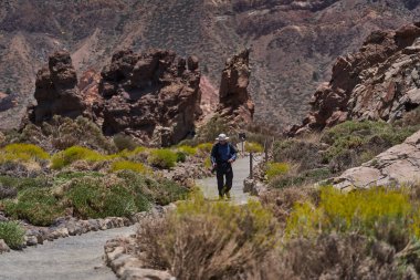 Roques de Garcia bölgesinde kuru bitki örtüsü ve kaya oluşumlarıyla çevrili volkanik patika boyunca yürüyen kameralı bir erkek yürüyüşçü.