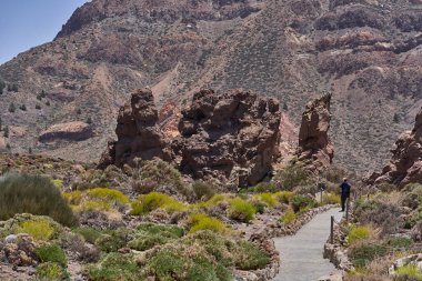 Roques de Garcia bölgesinde kuru bitki örtüsü ve kaya oluşumlarıyla çevrili volkanik patika boyunca yürüyen kameralı bir erkek yürüyüşçü.