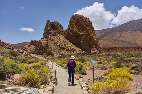 Roques de Garcia yakınlarındaki volkanik bir patikada Pico del Teide arka planda güneşli bir gökyüzünün altında yürüyen kadın yürüyüşçü.
