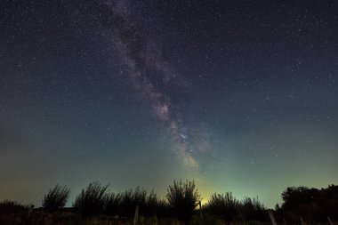 Samanyolu yıldızlı bir gece gökyüzünde siluetli ağaçların ve ince ufuk çizgisinin üzerinde uzanıyor.