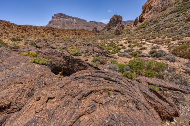 Kurak volkanik arazide, güneşli bir gökyüzünün altında, Roques de Garcia 'nın kaya oluşumlarına doğru yürüyüş izleri.