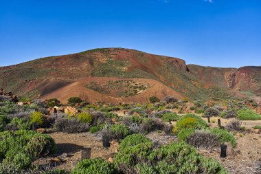 Teide Ulusal Parkı 'nda açık mavi gökyüzü altında seyrek bulunan volkanik koni.