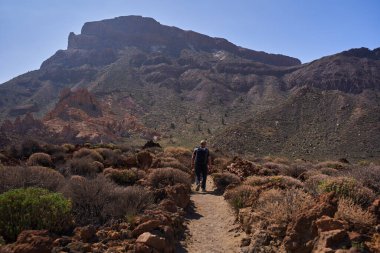 Adam, kayalık arazi ve seyrek bitki örtüsüyle Teide Ulusal Parkı 'nda Alto de Guajara' ya doğru volkanik bir yolda yürüyüş yapıyor.