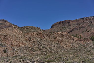 Kayalık volkanik yamaçlar ve kuru yamaçlar. Teide Ulusal Parkı 'nda açık mavi gökyüzü altında seyrek bitki örtüsü altında.