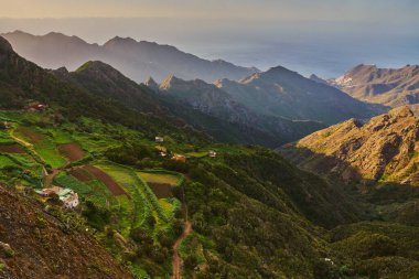 Tenerife 'nin kuzeyindeki Anaga dağlarında gün doğumu