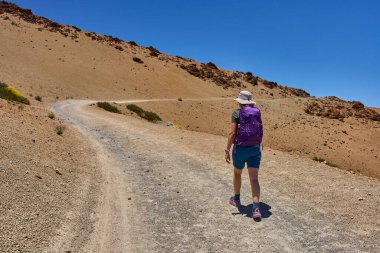 Güneşli bir günde volkanik çöl manzarasında kamerasıyla bir patikada yürüyen bir kadın yürüyüşçü.