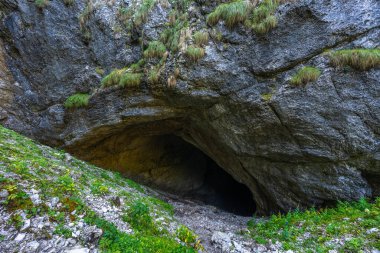Doline 3 'ün Cetatile Ponorului karst sistemine girişi, Apuseni Ulusal Parkı, Romanya