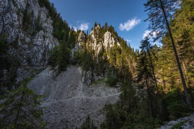 Romanya 'nın Apuseni Dağları' ndaki Cetatile Ponorului döngüsü ile kayalık kayalıklar ve orman yamaçları, güneşli bir yaz gününde kireçtaşı oluşumlarına seçici bir şekilde odaklanmış.