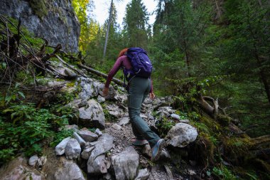 Sırt çantalı yürüyüşçü kadın kayalık bir dağ yolunda yokuş yukarı gidiyor.