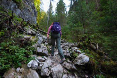Sırt çantalı yürüyüşçü kadın kayalık bir dağ yolunda yokuş yukarı gidiyor.