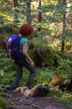 Romanya 'nın Apuseni Dağları' ndaki orman patikasında yeşil ve ağaç kökleriyle çevrili kıvırcık saçlı ve sırt çantalı bir yürüyüşçü kadın.