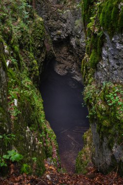 Apuseni Dağları 'ndaki orman bitkileriyle çevrili karanlık bir mağara girişine açılan derin yosun kaplı kireç taşı yarığı.