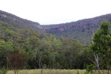 Killarney, Queensland yakınlarındaki Condamine Nehri Yolu boyunca güzel bir manzara. Dağlar, ormanlar, ağaçlar ve nehirler