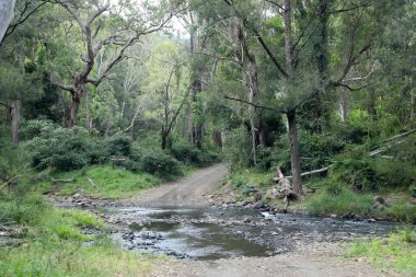 Killarney, Queensland yakınlarındaki Condamine Nehri Yolu boyunca güzel bir manzara. Dağlar, ormanlar, ağaçlar ve nehirler