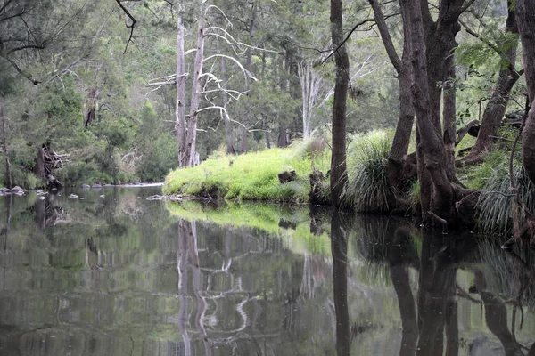 昆士兰州Killarney附近的Condamine河畔风景优美 使山区 树木和河流增色不少 — 图库照片