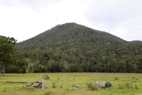 Beautiful Scenery Condamine River Road Killarney Queensland Featuring Mountains Forest — Stock Photo, Image