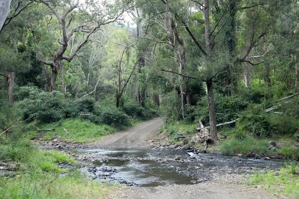 Bela Paisagem Longo Condamine River Road Perto Killarney Queensland Apresentando — Fotografia de Stock