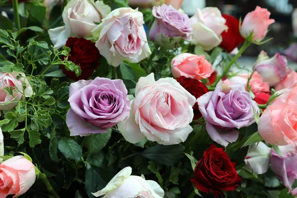 Disposizione Bellissime Rose Piene Vari Colori Ambiente Giardino Con Urne — Foto Stock