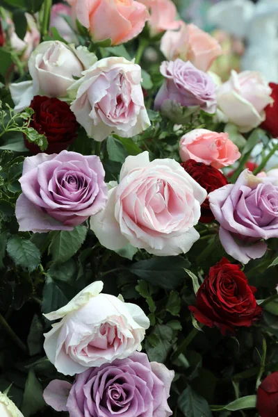 Disposizione Bellissime Rose Piene Vari Colori Ambiente Giardino Con Urne — Foto Stock