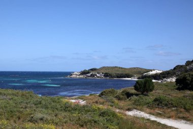 Batı Avustralya kıyılarındaki Rottnest Adası 'nın güzel kıyı görüntüsü. Temiz su, dalgalar, kireçtaşı kayaları ve bitki örtüsü gösteriliyor