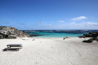 Batı Avustralya kıyılarındaki Rottnest Adası 'nın güzel kıyı görüntüsü. Temiz su, dalgalar, kireçtaşı kayaları ve bitki örtüsü gösteriliyor