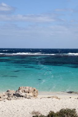 Batı Avustralya kıyılarındaki Rottnest Adası 'nın güzel kıyı görüntüsü. Temiz su, dalgalar, kireçtaşı kayaları ve bitki örtüsü gösteriliyor