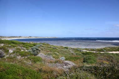Batı Avustralya kıyılarındaki Rottnest Adası 'nın güzel kıyı görüntüsü. Temiz su, dalgalar, kireçtaşı kayaları ve bitki örtüsü gösteriliyor