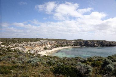 Batı Avustralya kıyılarındaki Rottnest Adası 'nın güzel kıyı görüntüsü. Temiz su, dalgalar, kireçtaşı kayaları ve bitki örtüsü gösteriliyor